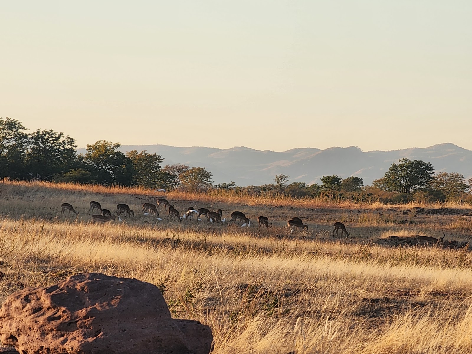 Matusadona National Park 1