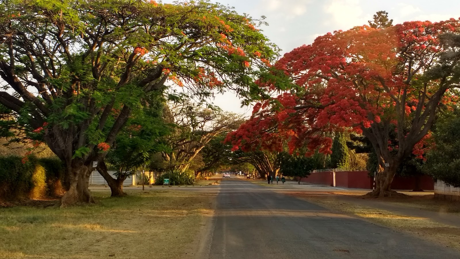 Alexandra Sports Club 3
