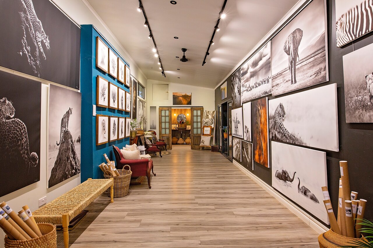 Tami Walker Gallery