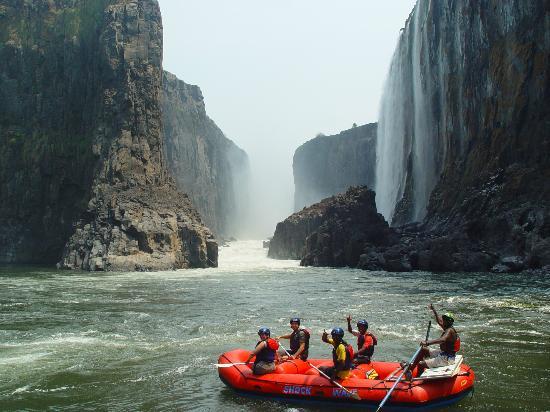 Shockwave Adventures