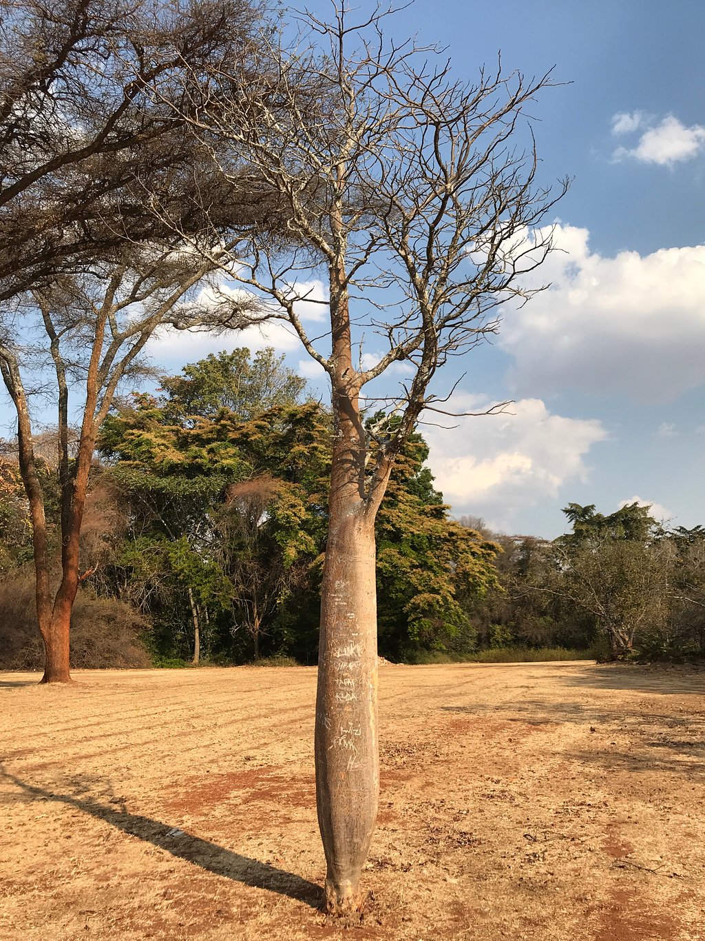 National Botanical Gardens