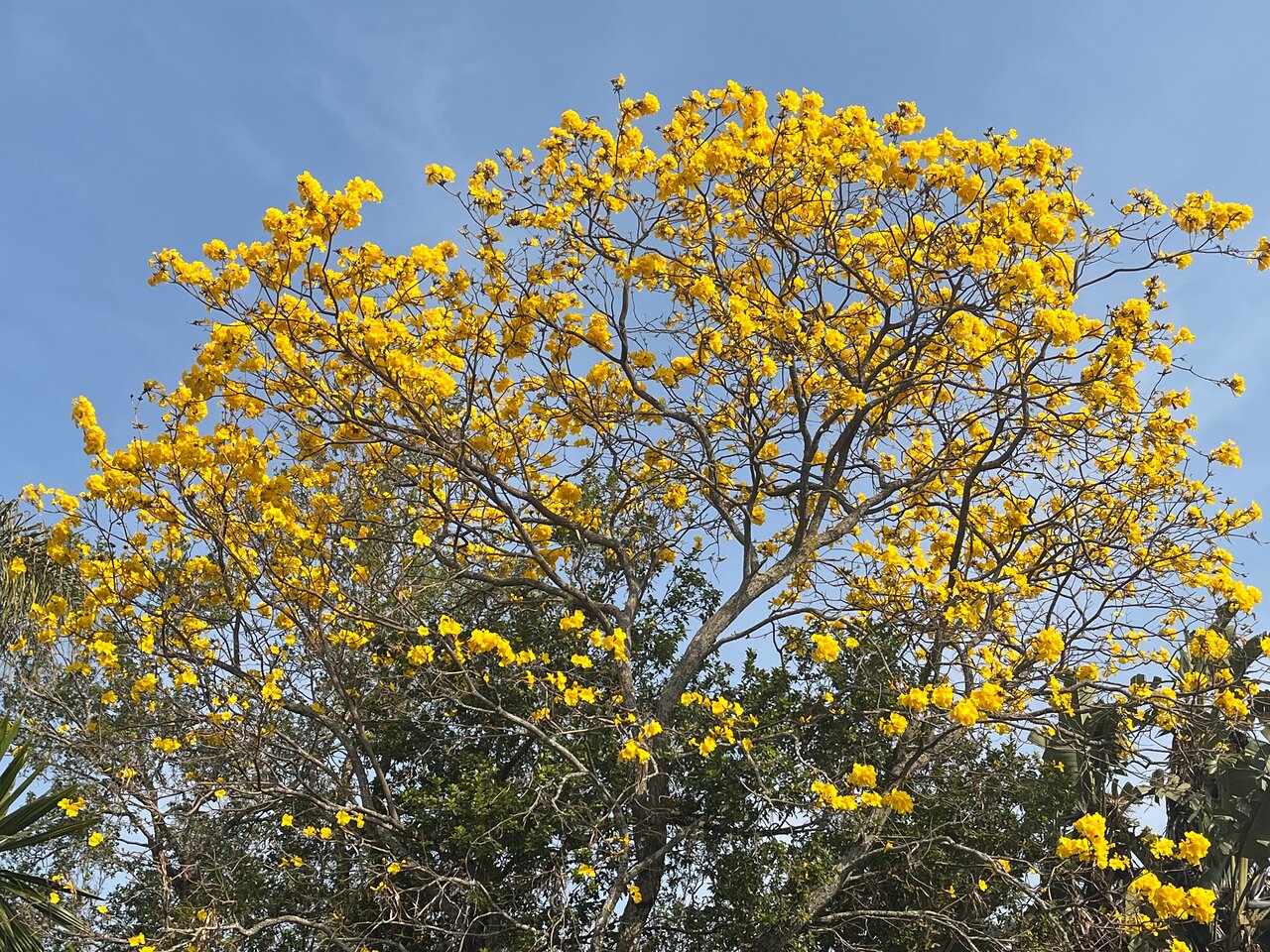 National Botanical Gardens 3