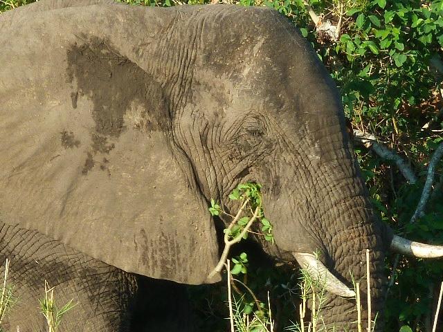 Mosi-oa-Tunya / Victoria Falls National Park 2