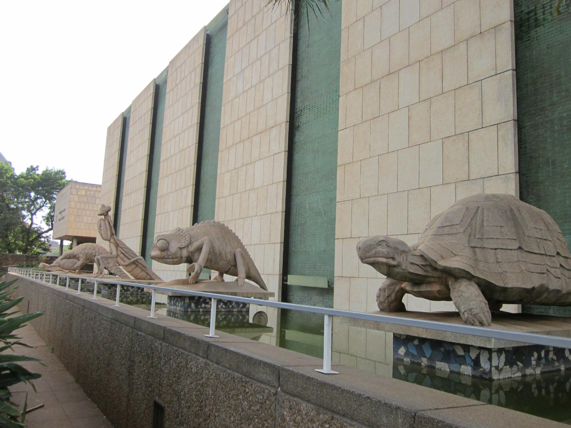Zimbabwe Museum of Human Sciences 3